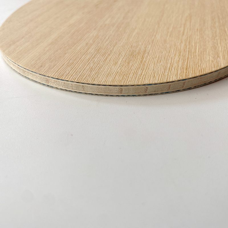 Lemuria VIS Carbon Fiber Table - огляд і ціна Table Tennis Yasaka