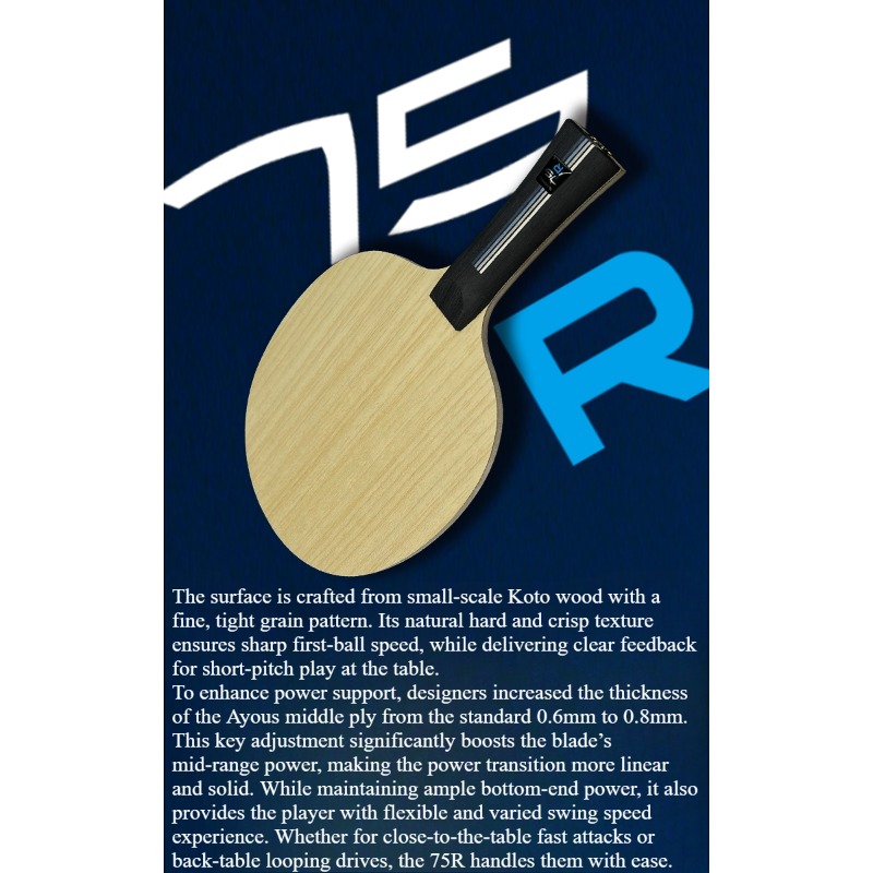 SANWEI 75R 5+2 Outer H-GLC Tab - огляд і ціна Table Tennis Paddles